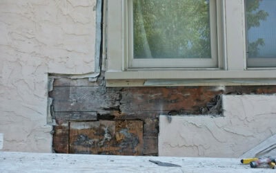 Dry Rot Exposed: What Lurks Beneath the Surface